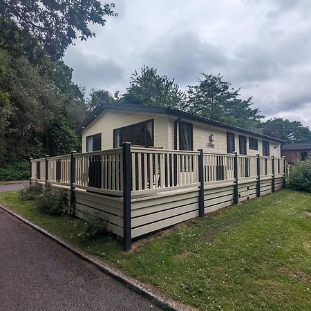 Luxury Stunning Sensation Lodge On 5 Star Shorefield Country Park New Forest Entertainment And Leisure Passes Included Milford on Sea Exteriör bild